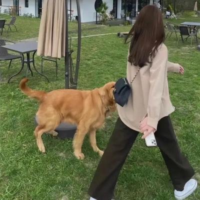 来自里诺的男人