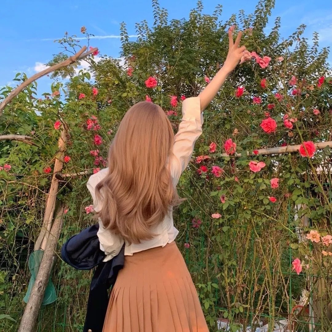 大冒险家国语